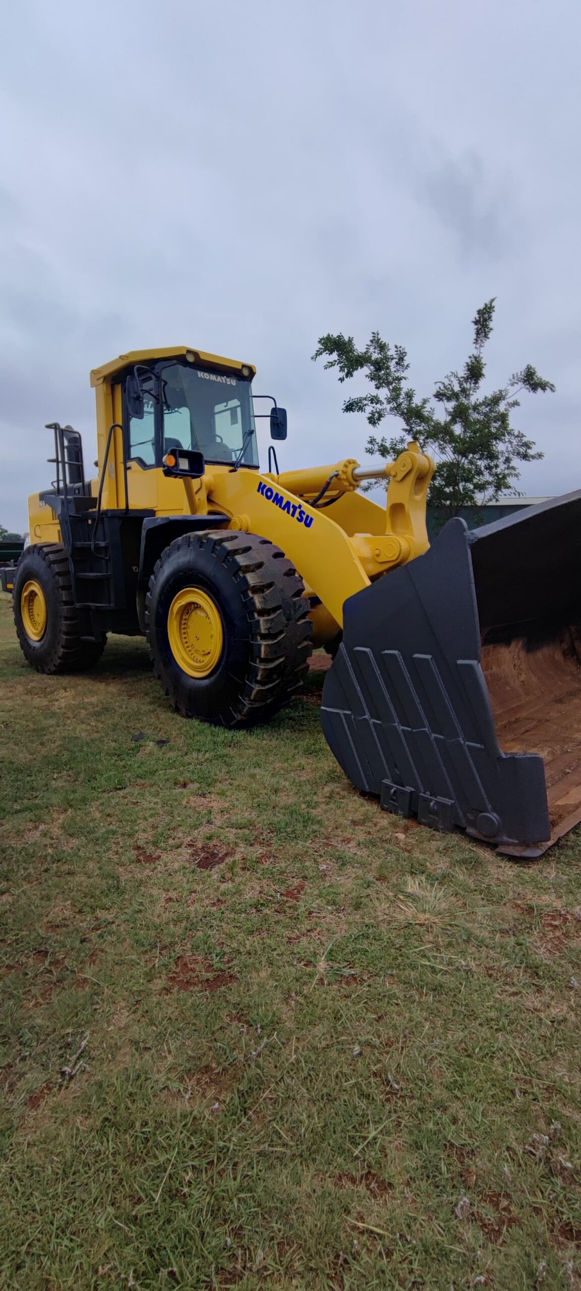 Komatsu WA 500